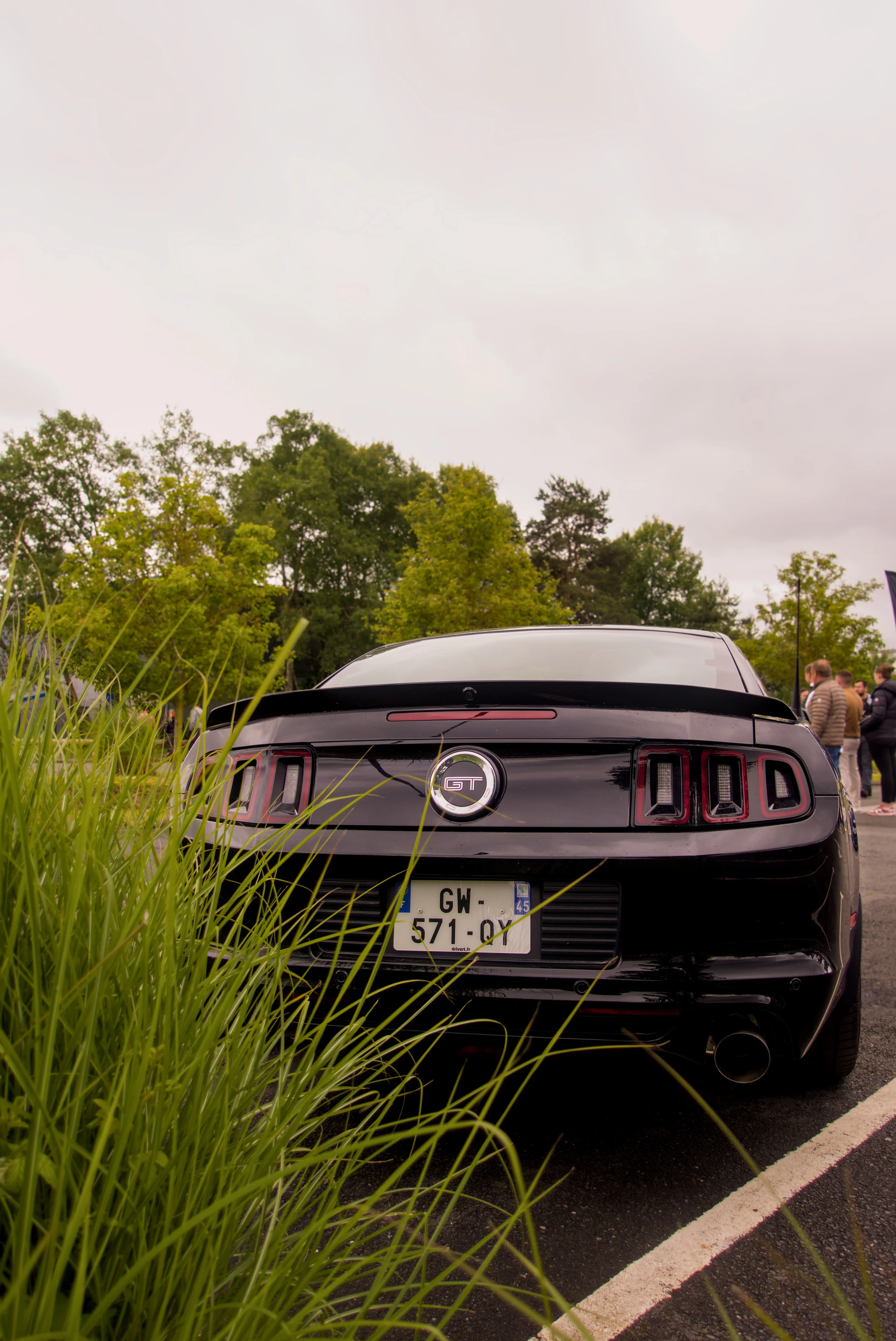 Mustang Noire