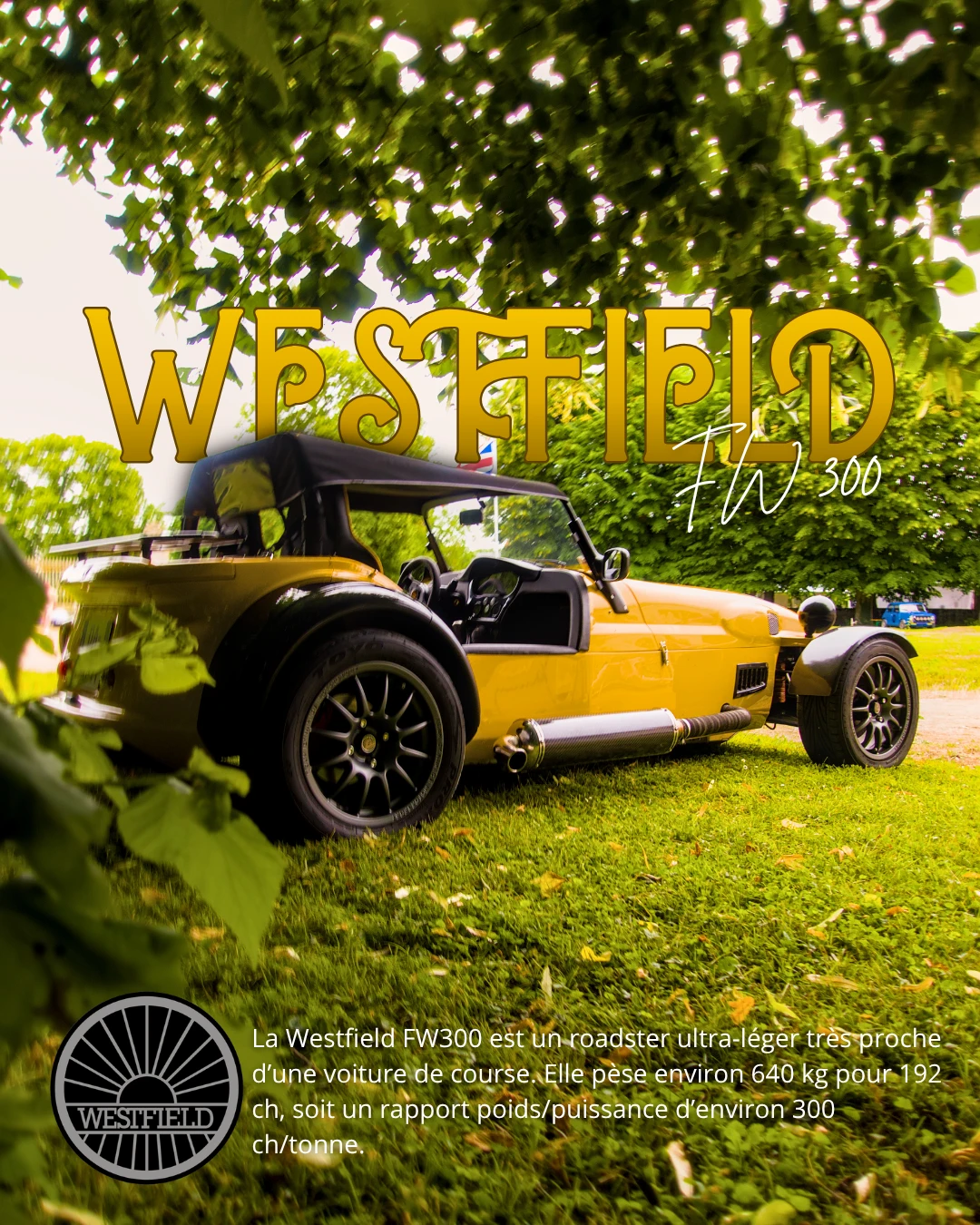 Westfield FW300 — phare & carbone